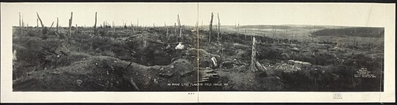 This is a picture of the “No man’s land” where it is possible to see the bad conditions in which the soldiers had to find themselves in. This is the Flanders Filed in France. Public Domain https://www.loc.gov/pictures/item/2007663169/ Photo by W. L. King, Millersberg, Ohio; by courtesy of Military Intelligence Div., General Staff, U.S. Army.